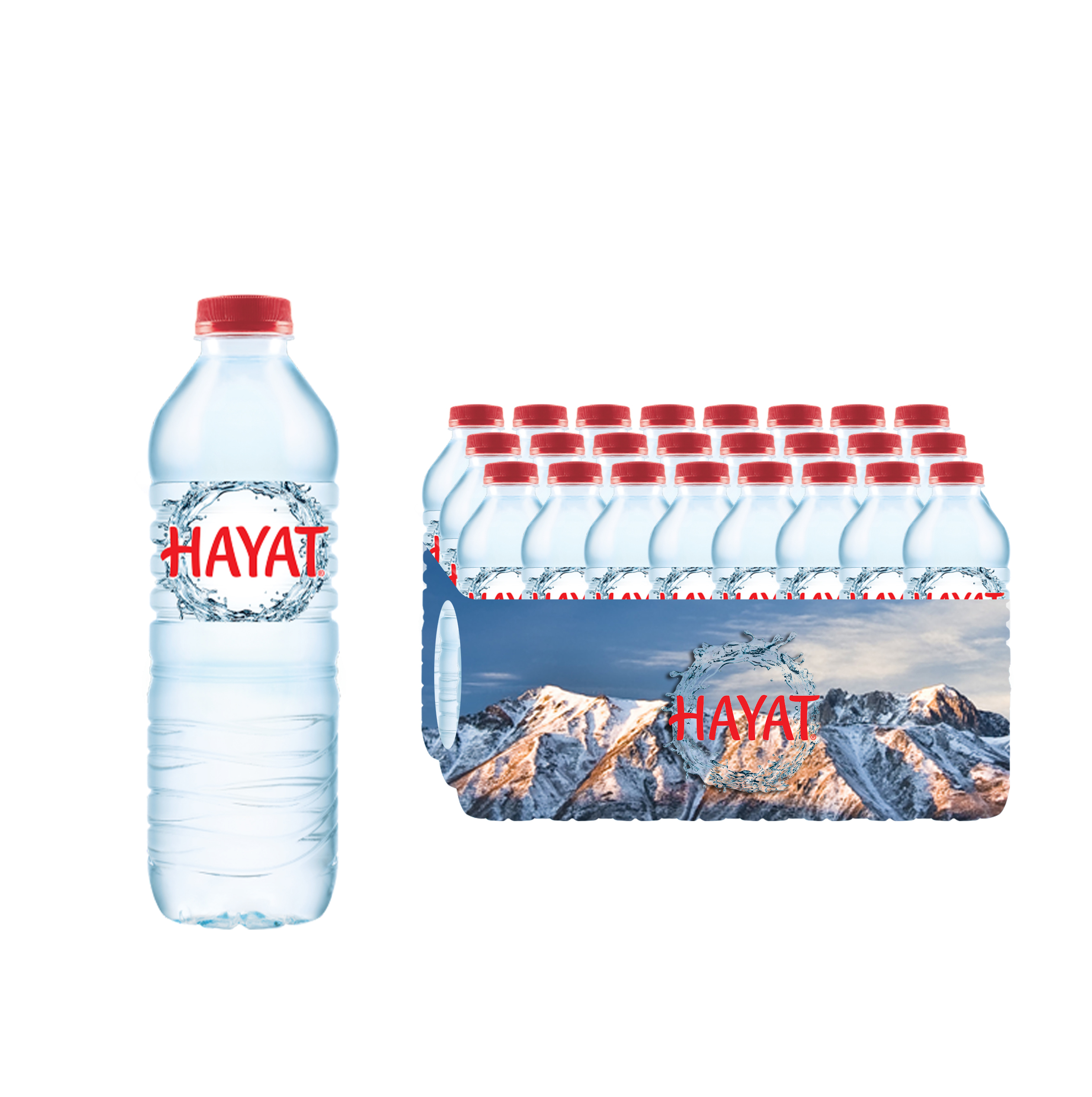 Hayat 500 ml
